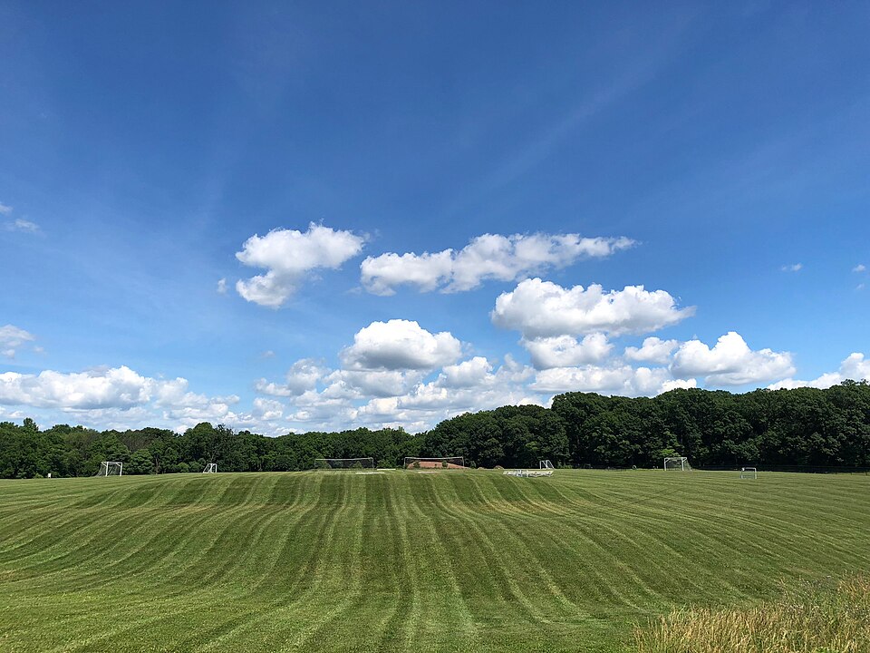 Open green space in Doylestown Central Park