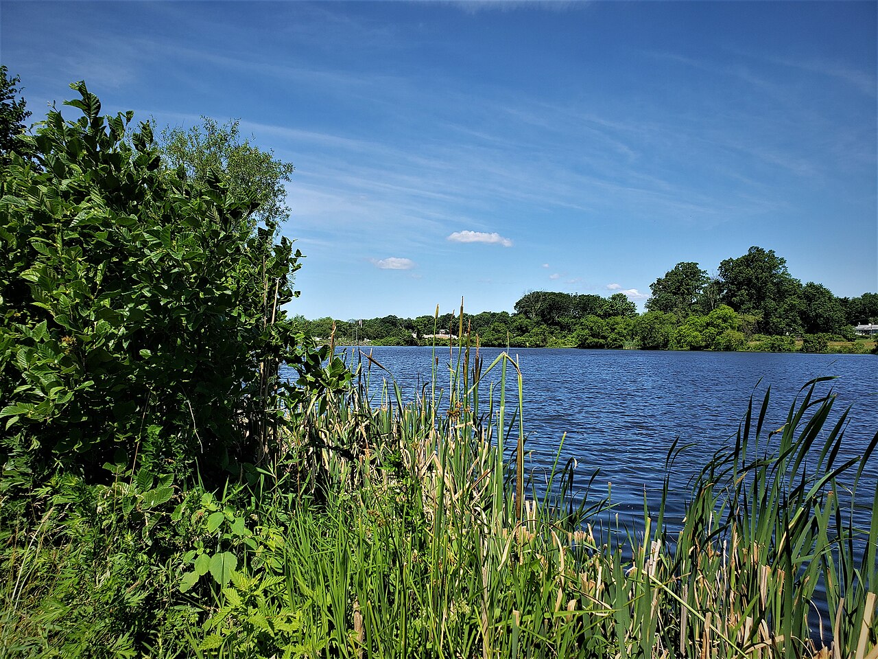 Summer Camps in Bucks County: The Parent’s Guide