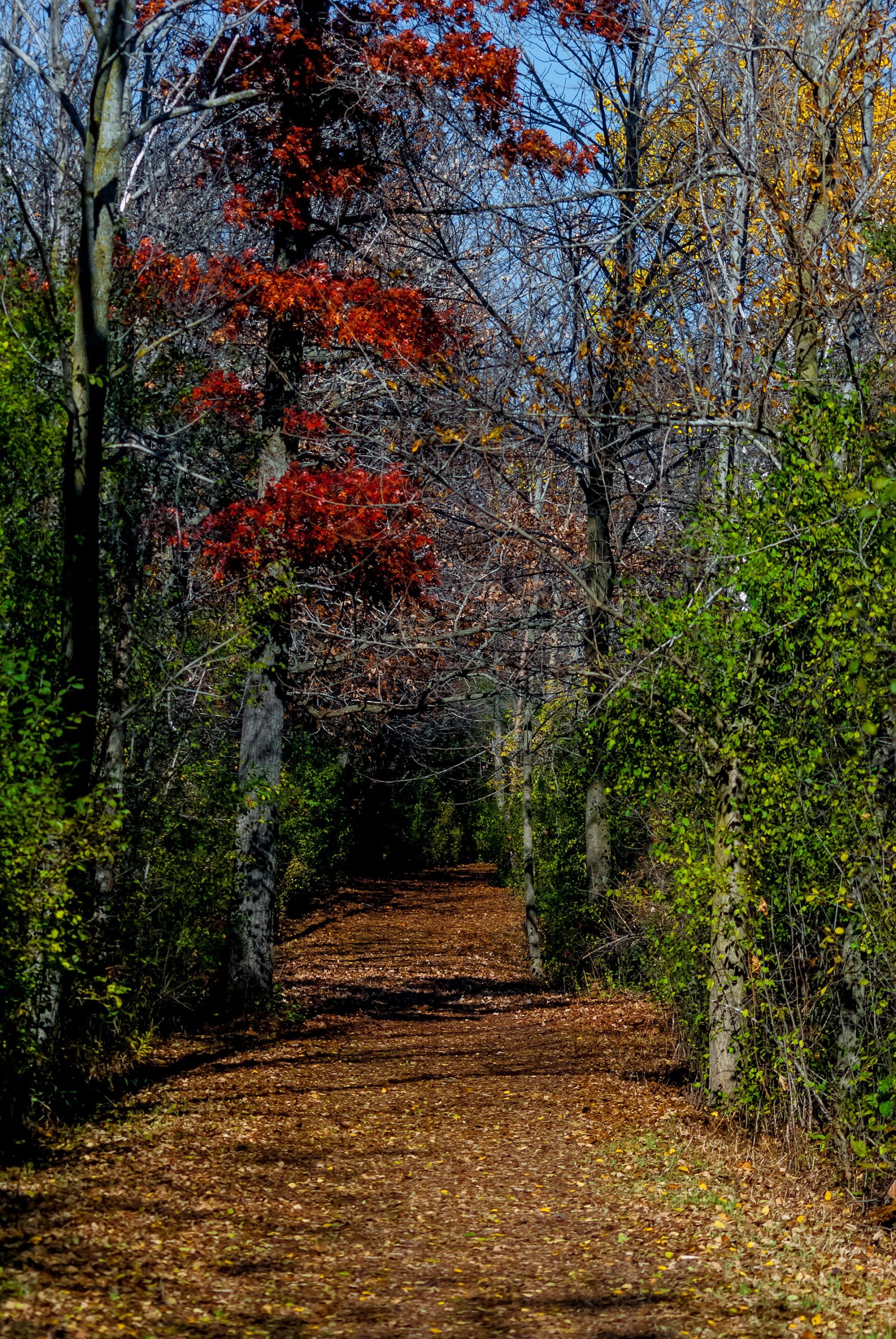 Bucks County Parks and Trails Guide: The Best Hikes, Walks, and Lake Loops