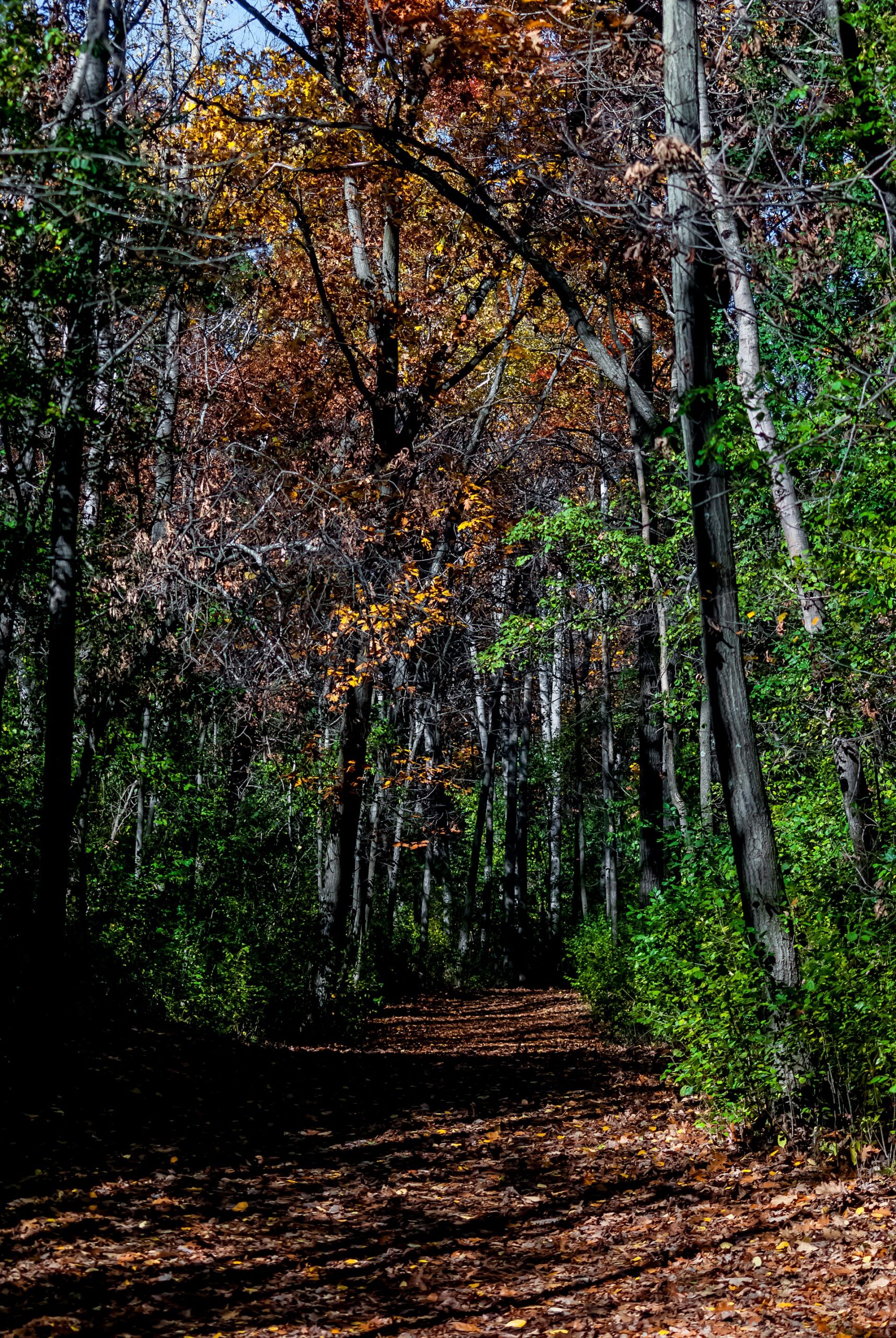Haunted Attractions and Halloween Events in Bucks County (2026 Guide) Haunted Attractions and Halloween Events in Bucks County (2026 Guide)