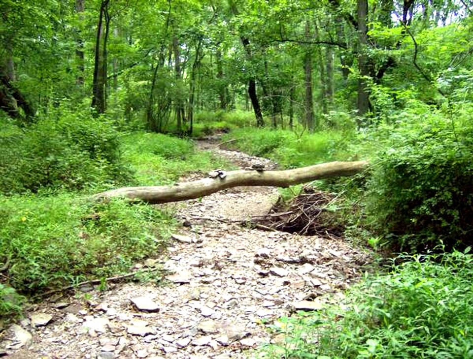 Clark Nature Center in Bucks County