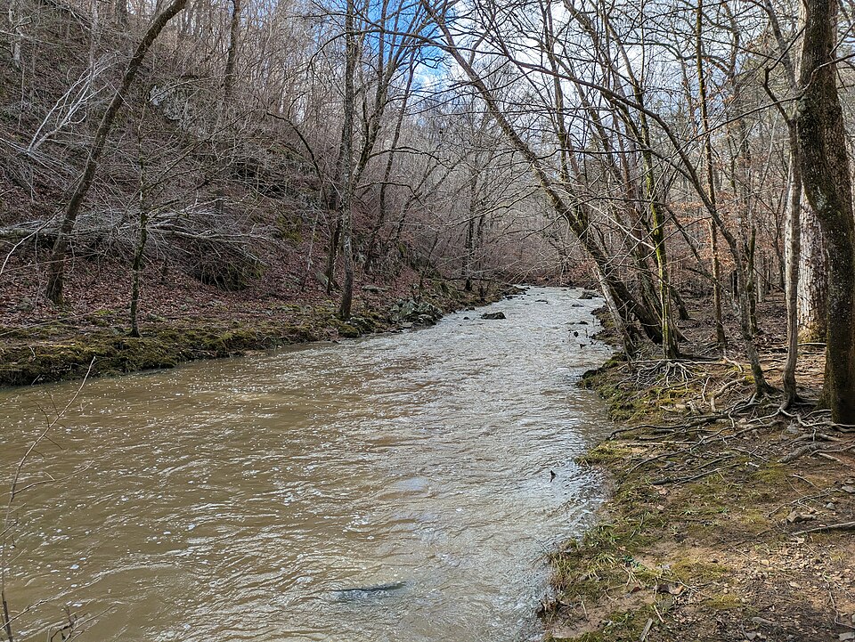 New Hope Creek in January